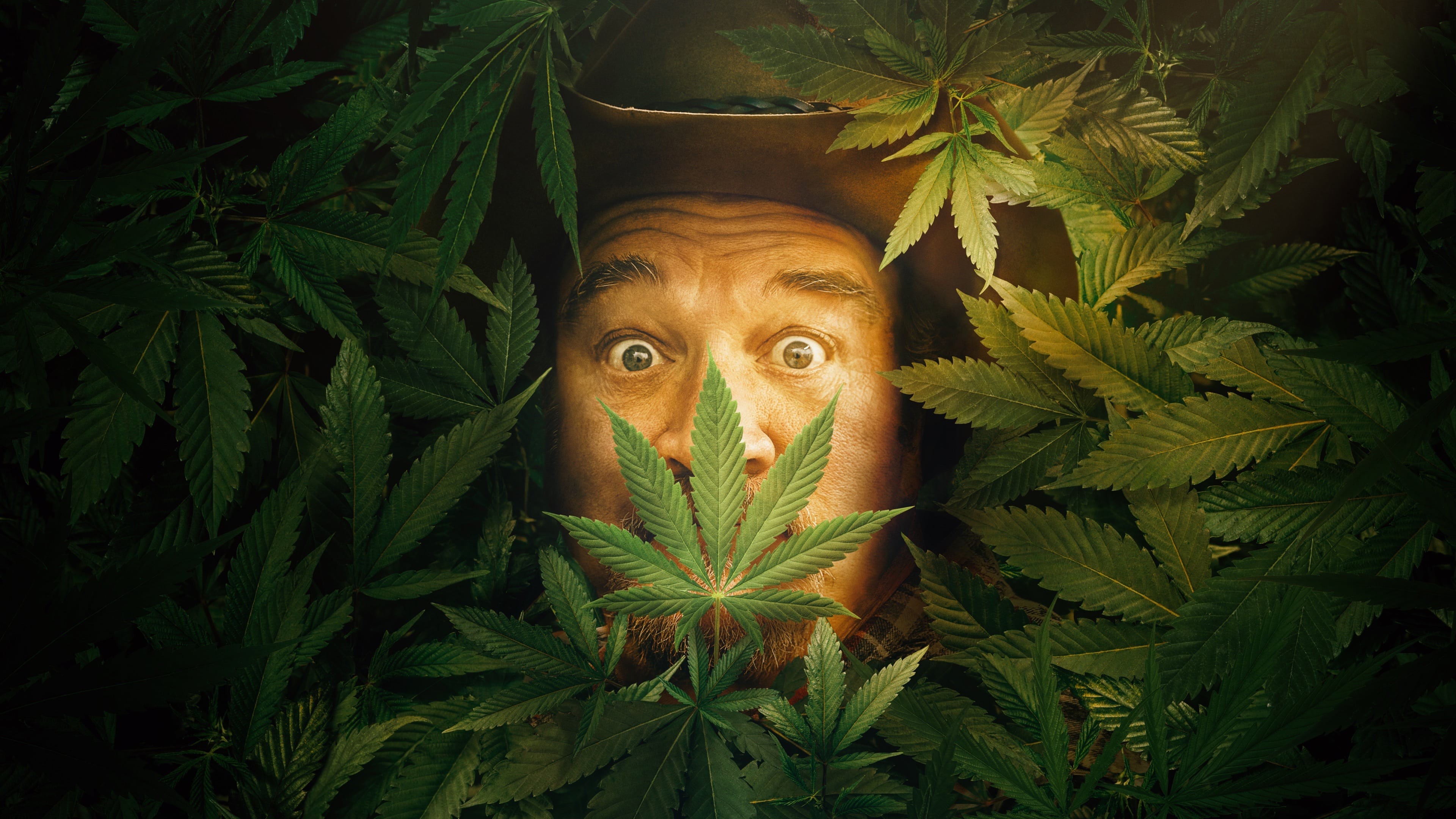 Season 3