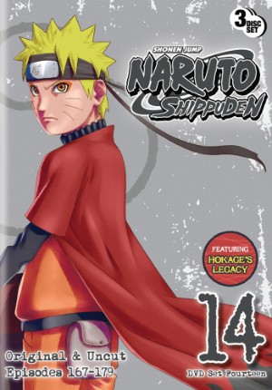 Naruto Shippuden - Season 14 [Audio: Eng]