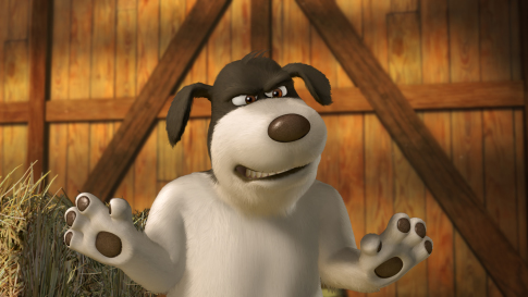 Duke