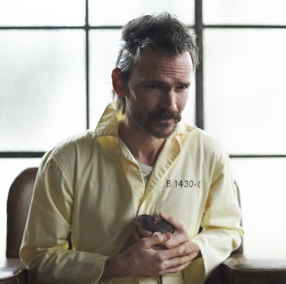 Peter Bernardone