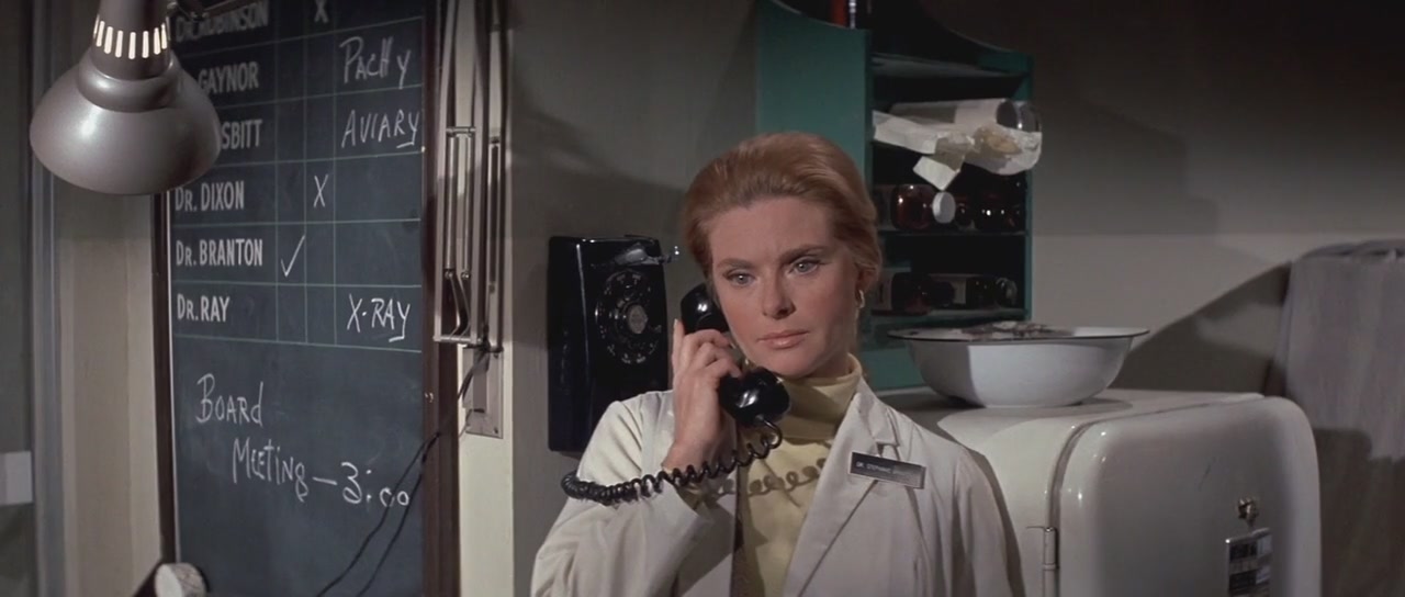 Dr. Stephanie Branton