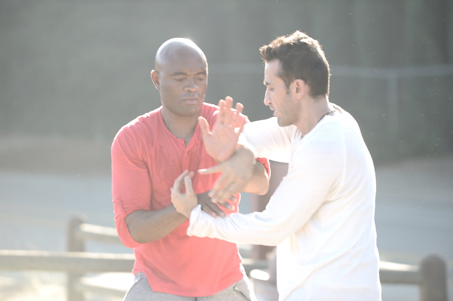 Anderson Silva