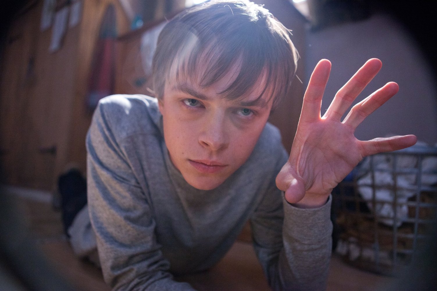 Andrew Detmer