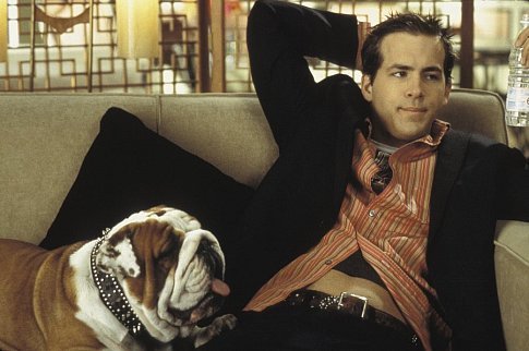 Van Wilder