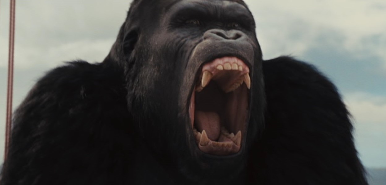 Buck