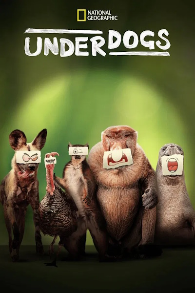 Underdogs - Season 1
