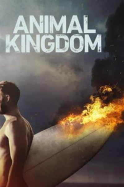 Animal Kingdom&nbsp;- Season 2