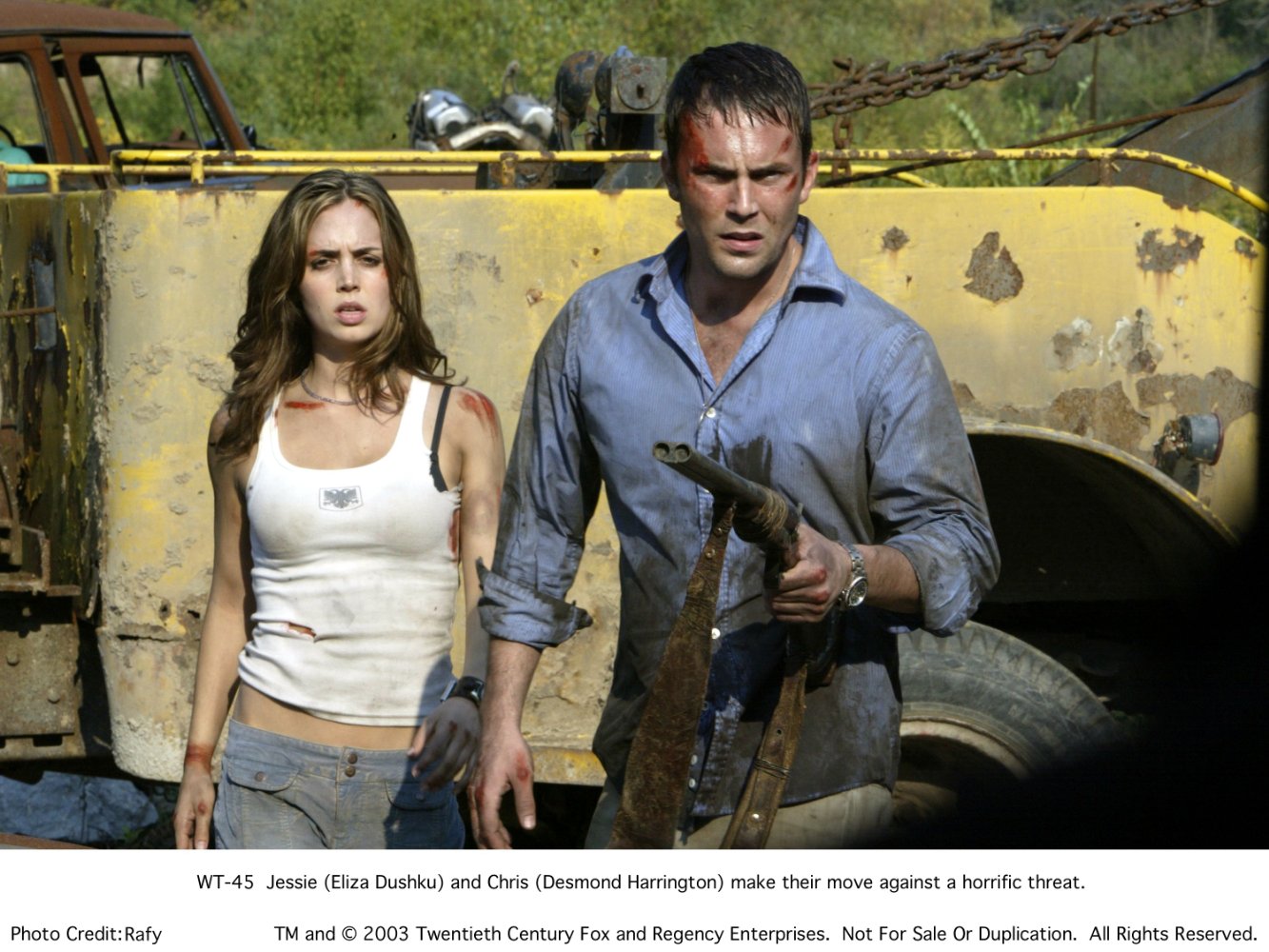 Desmond Harrington