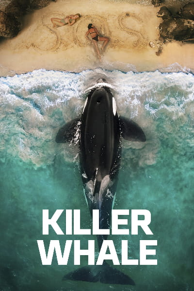 Killer Whale (2026)